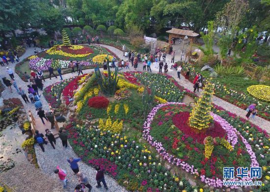 （社会）（3）福建：金秋菊展喜迎八方游客