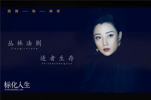 殷桃饰林睿