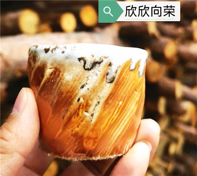 今北京冬运春意，观中国落灰柴烧