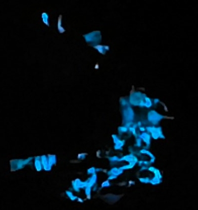 1624293765318392_156.png